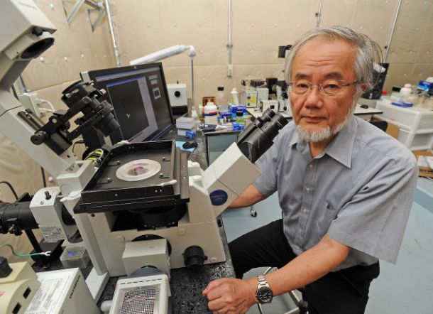 img_660_442_sosok-yosh_1475552430pang